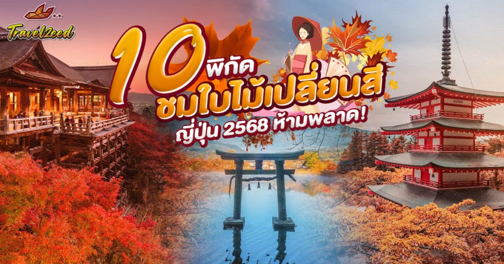 10 พิกัดชม ใบไม้เปลี่ยนสีญี่ปุ่น ห้ามพลาด!