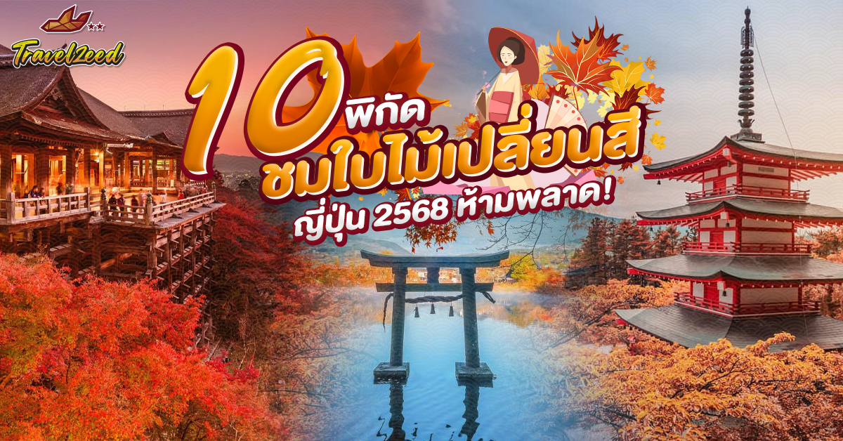 10 พิกัดชม ใบไม้เปลี่ยนสีญี่ปุ่น ห้ามพลาด!