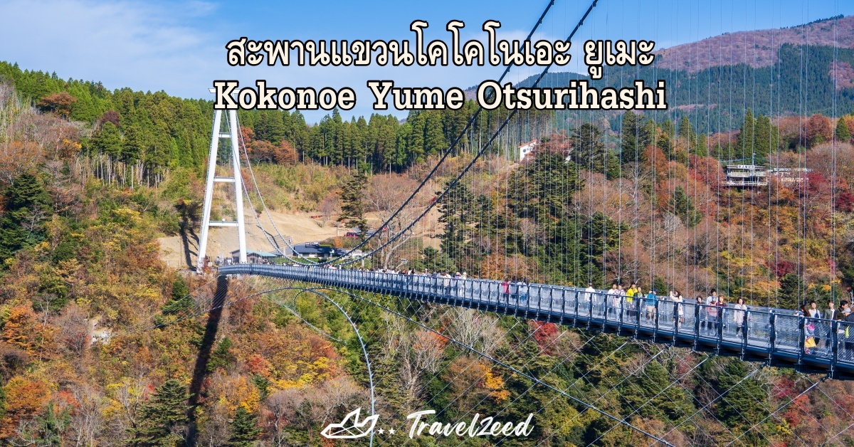 สะพานแขวนโคโคโนเอะ ยูเมะ