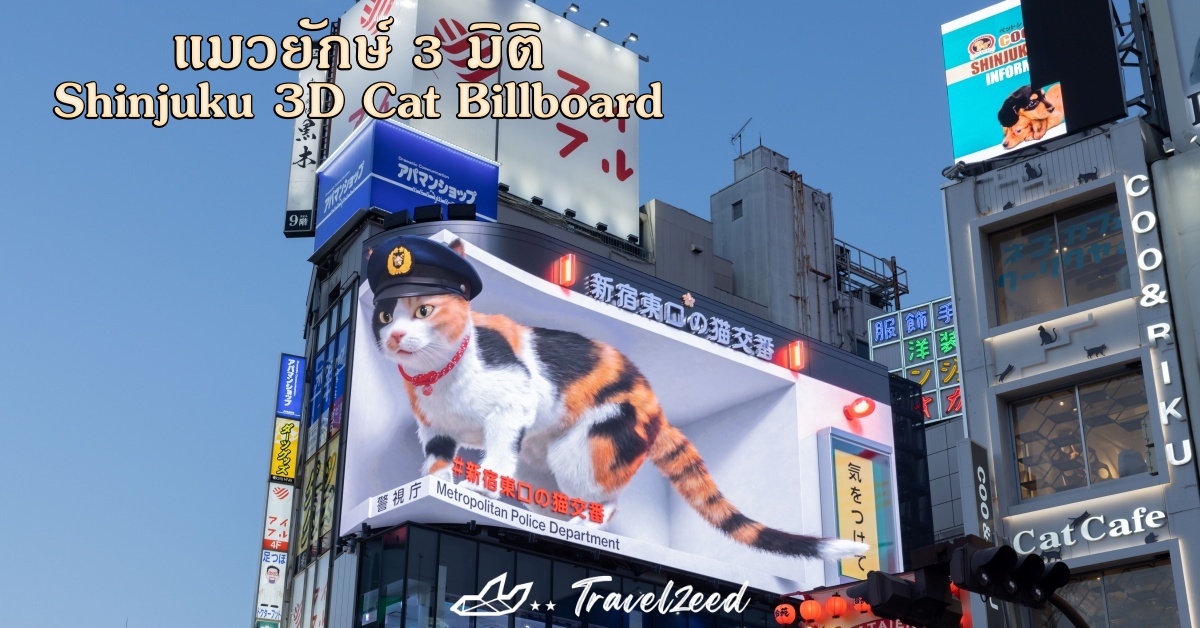 แมวยักษ์ 3 มิติ 
