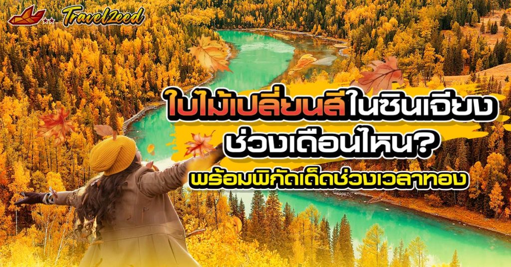 ใบไม้เปลี่ยนสีในซินเจียง
