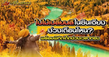 ใบไม้เปลี่ยนสีในซินเจียงช่วงเดือนไหน? พร้อมพิกัดเด็ดช่วงเวลาทอง