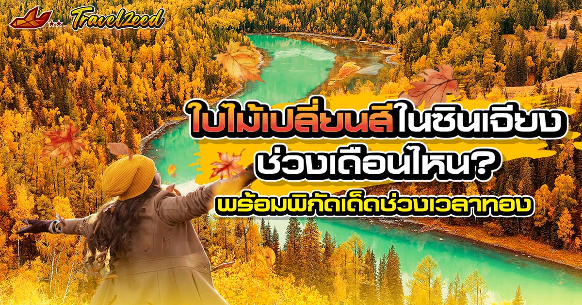 ใบไม้เปลี่ยนสีในซินเจียง