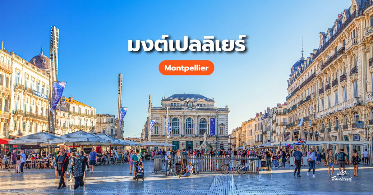 เที่ยวฝรั่งเศส มงต์เปลลิเยร์ (Montpellier)