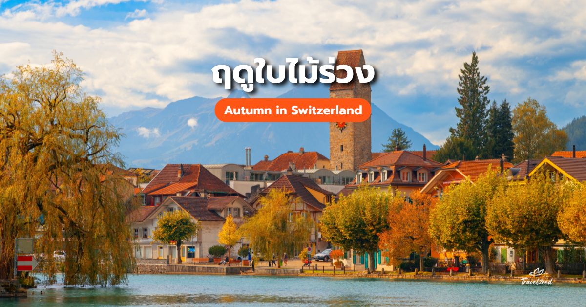 ฤดูใบไม้ร่วงของสวิตเซอร์แลนด์ (Autumn in Switzerland)