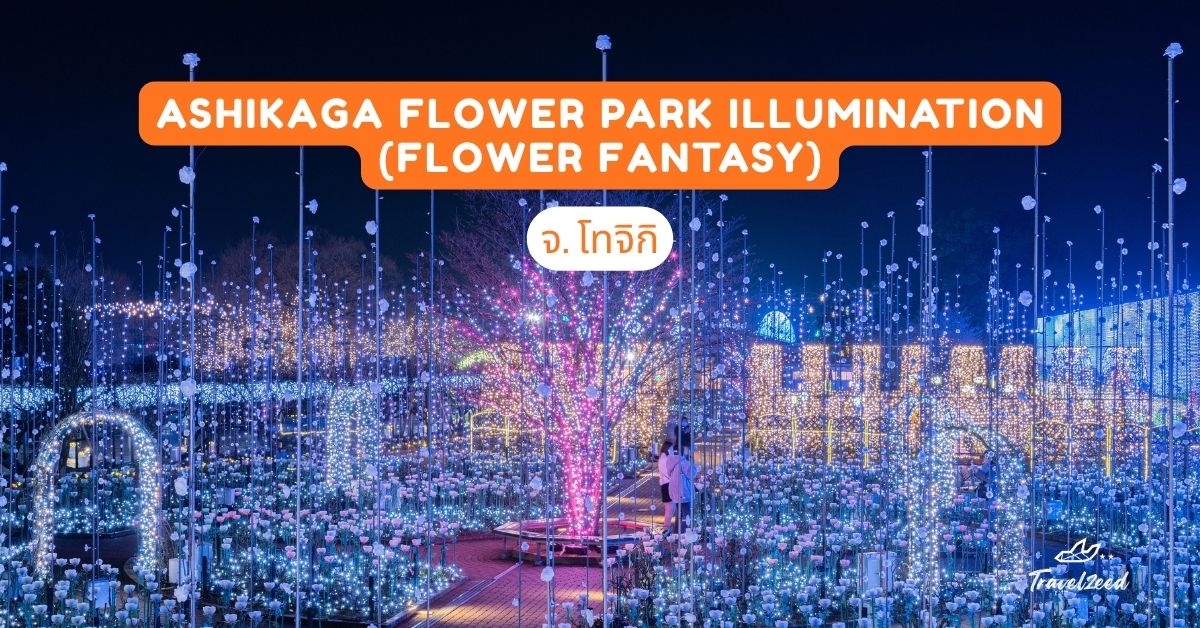 Ashikaga Flower Park Illumination (Flower Fantasy) จ.โทจิกิ