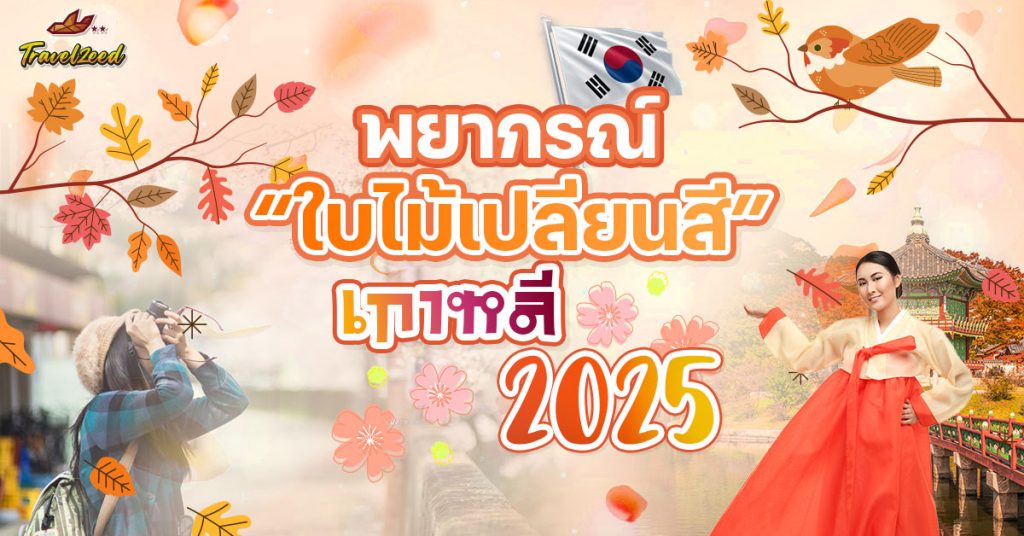 พยากรณ์ใบไม้เปลี่ยนสี เกาหลี
