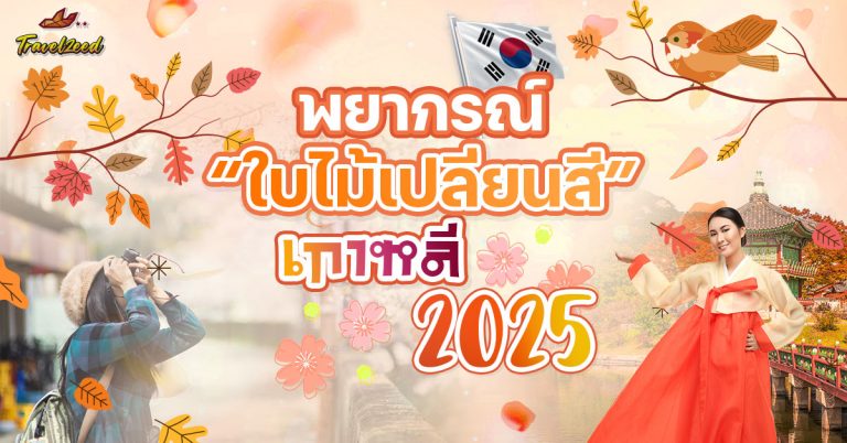 พยากรณ์ใบไม้เปลี่ยนสี เกาหลี