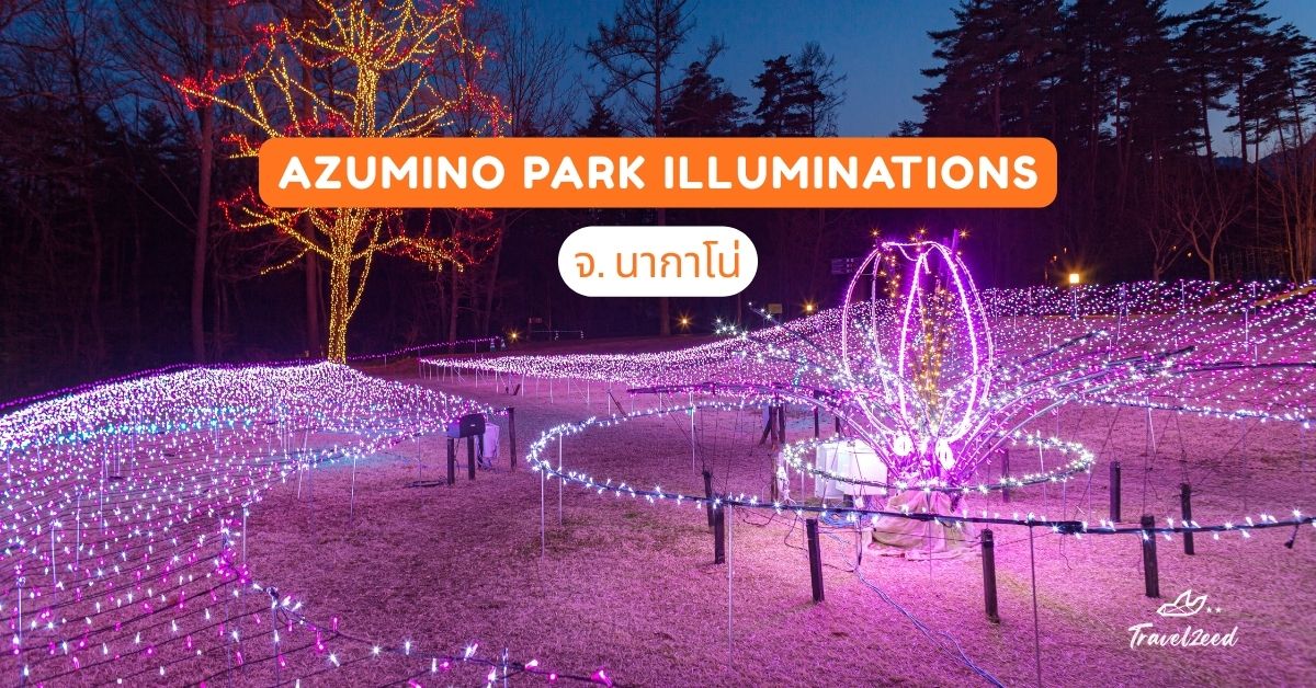 Azumino Park Illuminations จ.นากาโน่
