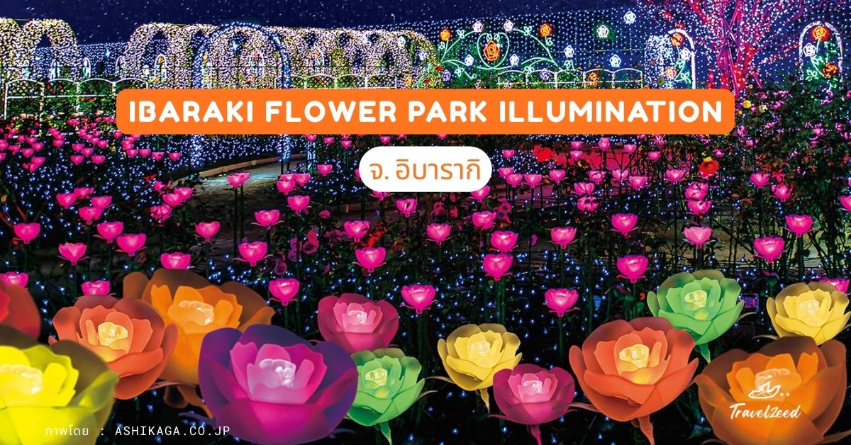 Ibaraki Flower Park Illumination จ. อิบารากิ