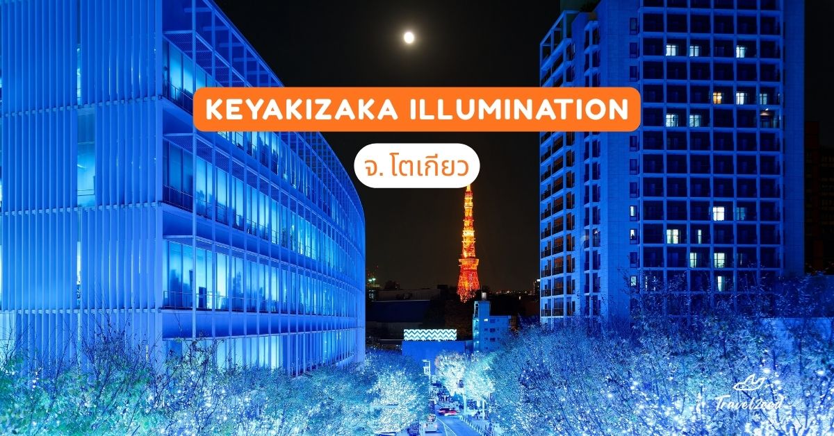 Keyakizaka Illumination จ.โตเกียว
