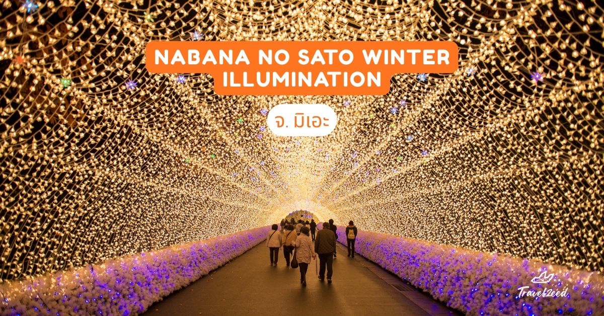 Nabana no Sato Winter Illumination จ.มิเอะ