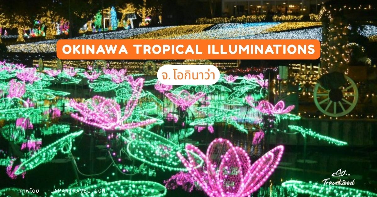 Sapporo White Illumination จ. ฮอกไกโด 