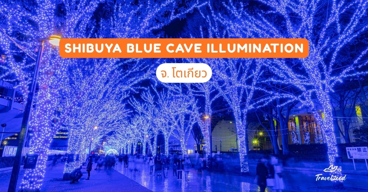 Shibuya Blue Cave Illumination จ.โตเกียว