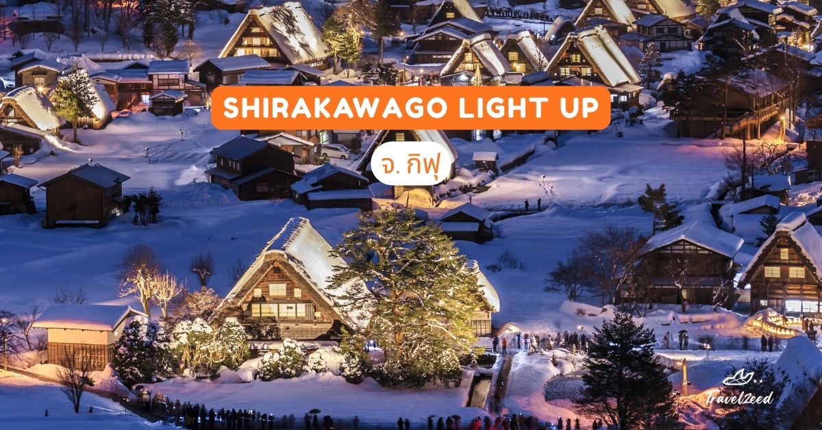 Shirakawago Light Up จ. กิฟุ