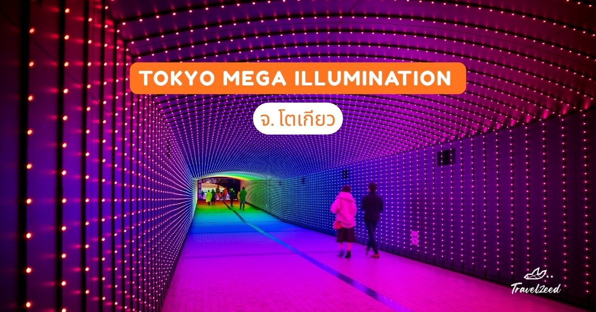 Tokyo Mega Illumination จ.โตเกียว
