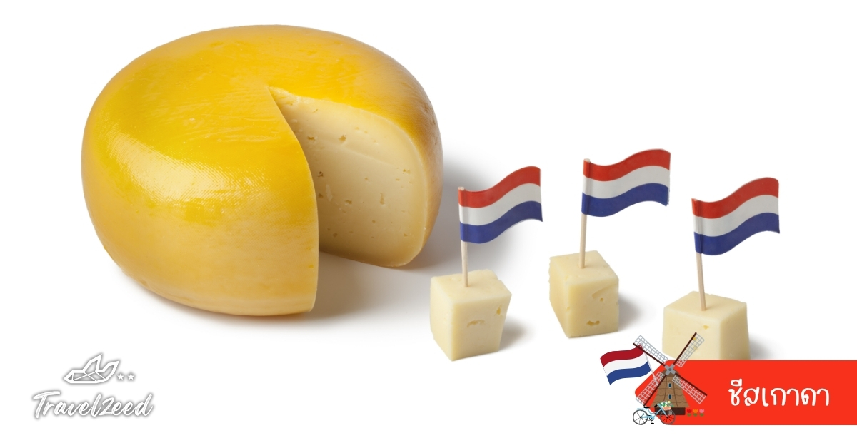 ชีสเกาดาเนเธอร์แลนด์ ชีสสีเหลืองทองรสเข้มข้นจากเมือง เกาดา เหมาะกินคู่ขนมปังและไวน์