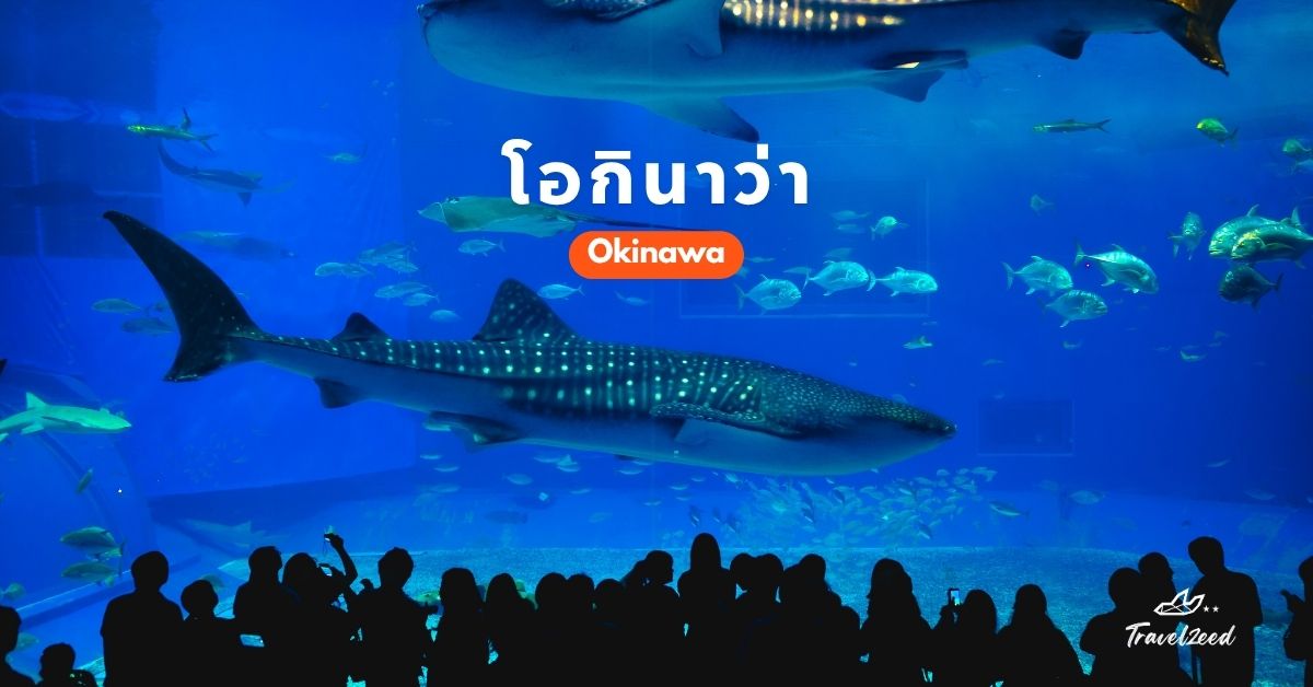 ทัวร์โอกินาว่า