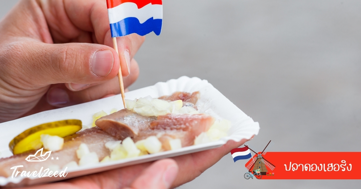 ปลาดองเฮอริงดัตช์สดหมักน้ำส้ม เสิร์ฟกับหอมใหญ่และขนมปัง เมนูท้องถิ่นชื่อดังของชาวดัตช์