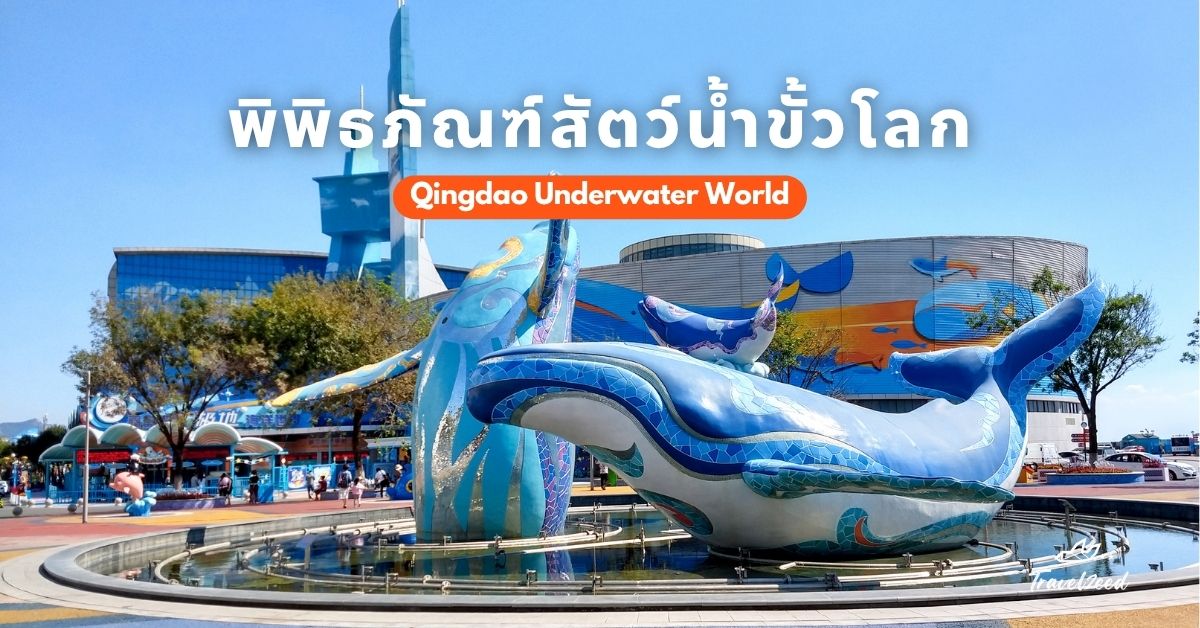ที่เที่ยวชิงเต่า พิพิธภัณฑ์สัตว์น้ำขั้วโลก ที่เที่ยวสำหรับครอบครัว