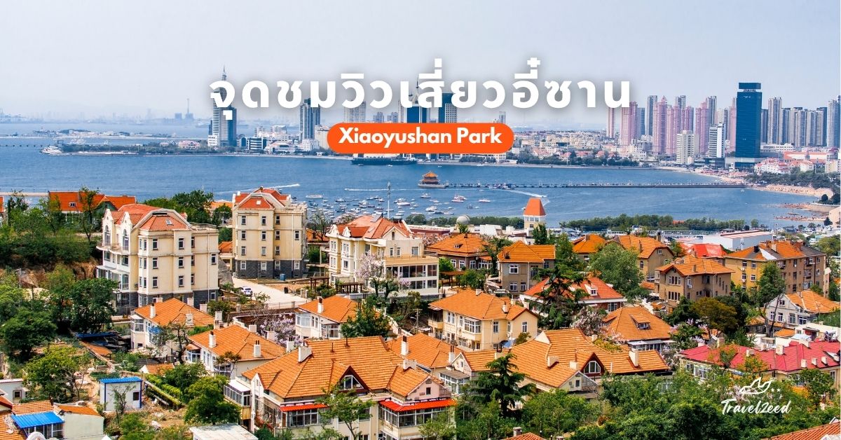 ที่เที่ยวชิงเต่า จุดชมวิวเสี่ยวอี๋ซาน ชมวิวพาโนรามา 360°