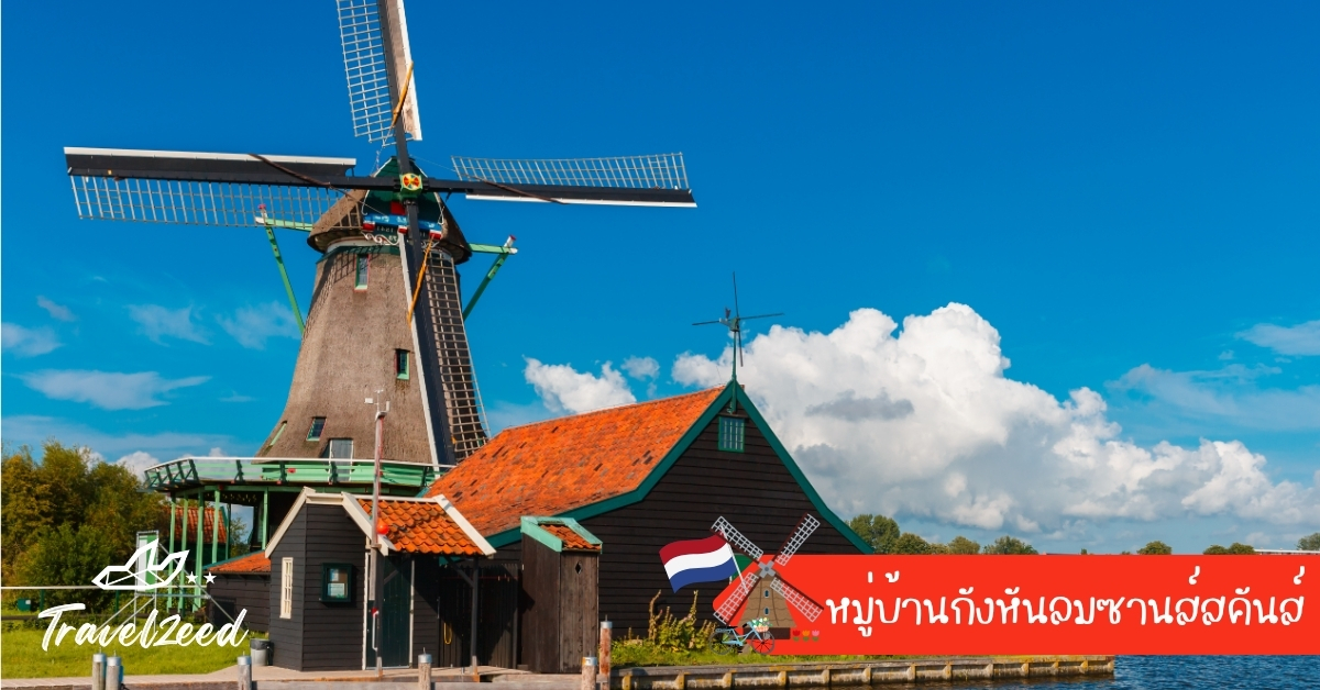 หมู่บ้านกังหันลม ดัตช์ บ้านไม้สีเขียวริมแม่น้ำ จุดชมวัฒนธรรมฮอลแลนด์แบบดั้งเดิม