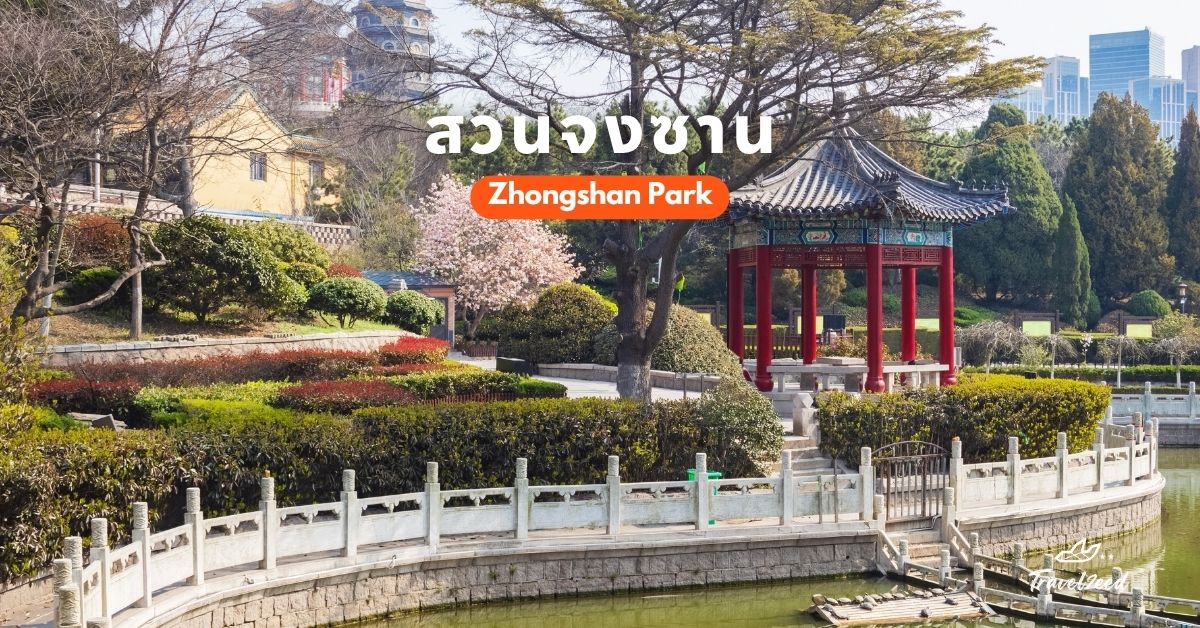 ที่เที่ยวชิงเต่า สวนจงซาน ชมซากุระเมืองชิงเต่าในฤดูใบไม้ผลิ