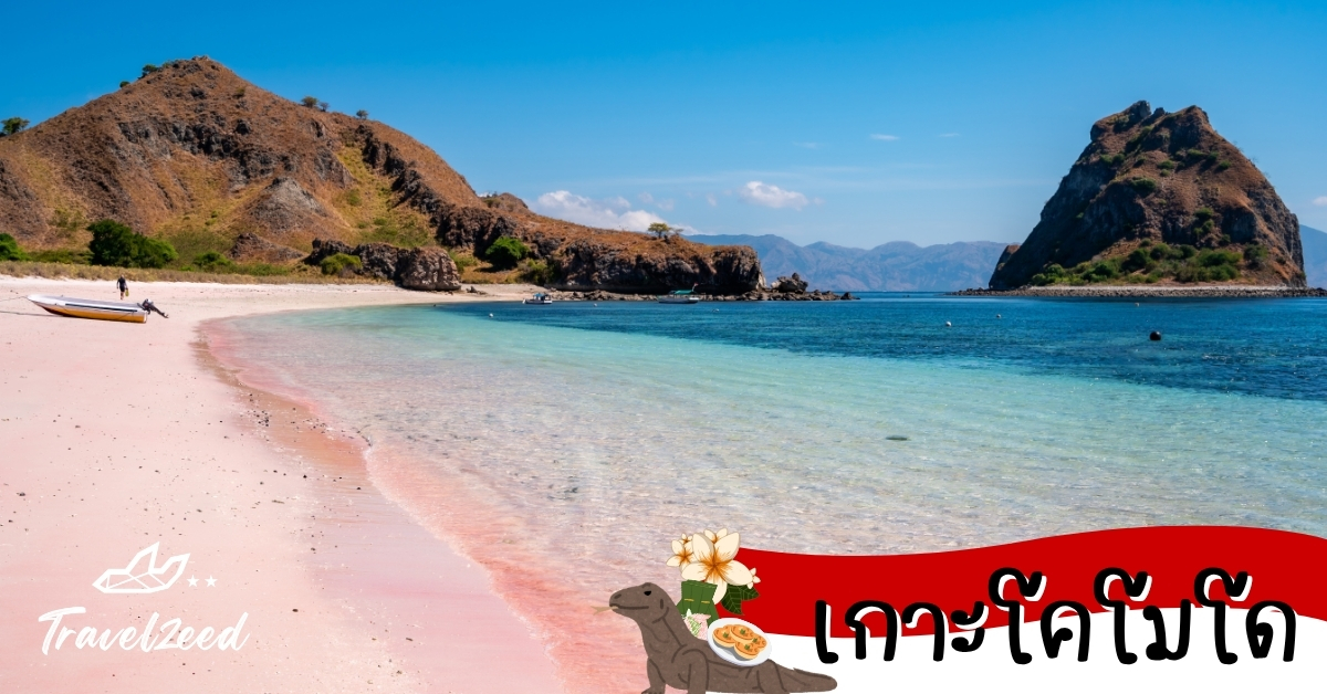 เกาะโคโมโด ชายหาดและภูเขาบนเกาะโคโมโด พร้อมมังกรโคโมโด