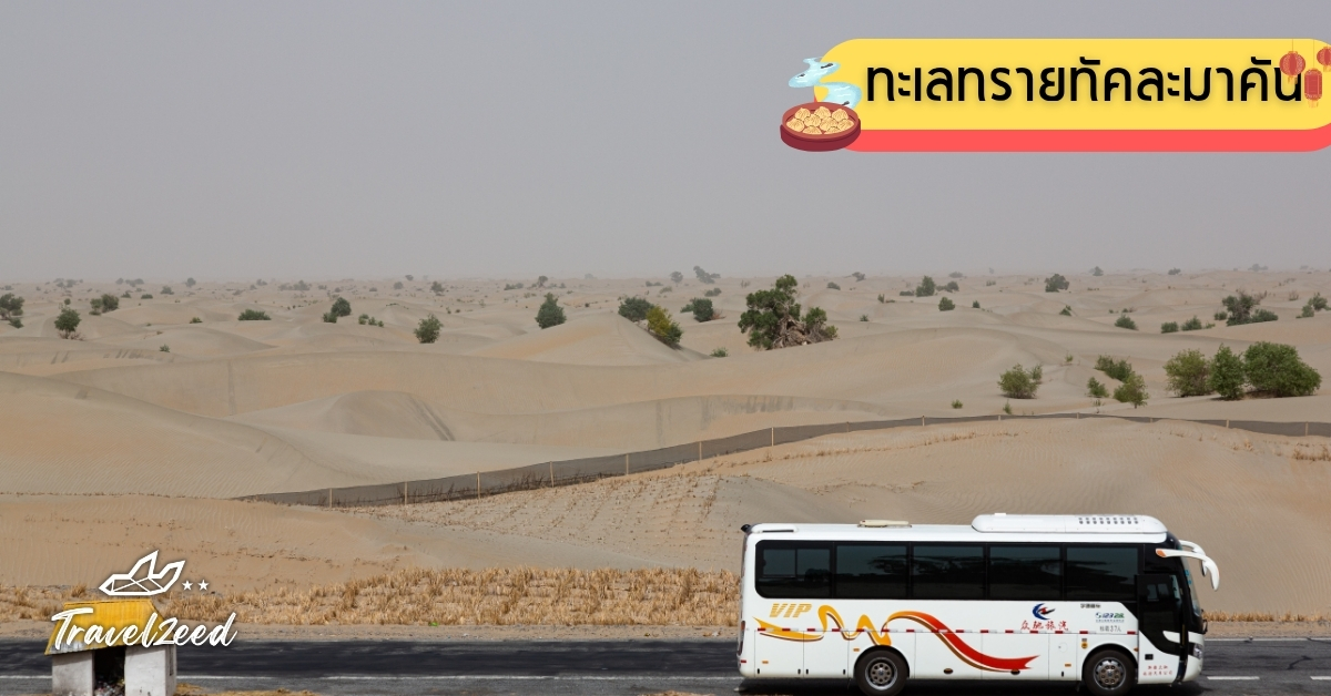 ทะเลทรายทัคละมาคัน ทะเลทรายที่ใหญ่ที่สุดในจีน หนึ่งในที่เที่ยวซินเจียงสุดแอดเวนเจอร์ เหมาะกับสายลุยถ่ายภาพพระอาทิตย์ตก