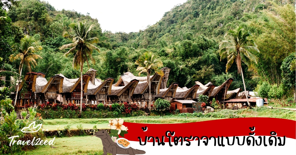 บ้านโตราจา หมู่บ้านบ้านโตราจาหลังคาโค้งสูงแบบดั้งเดิมในสุลาเวสี