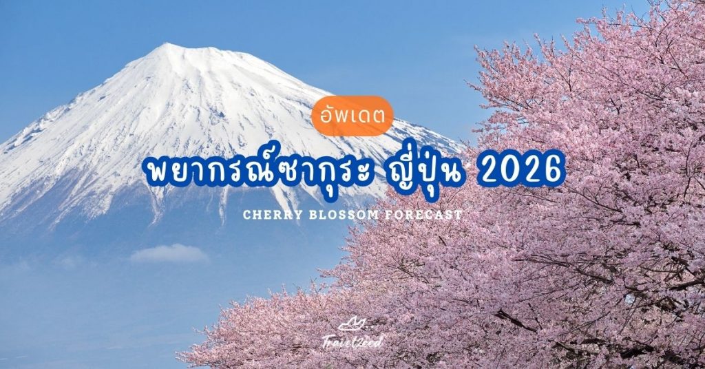 มาแล้ว!!! พยากรณ์ซากุระ ญี่ปุ่น 2026 (อัปเดตล่าสุด:18/12/2025)