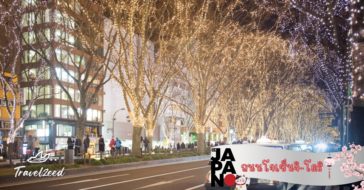 ถนนโจเซ็นจิโดริ เซนได ถนนสายต้นไม้สุดโรแมนติก จุดถ่ายรูปยอดนิยม