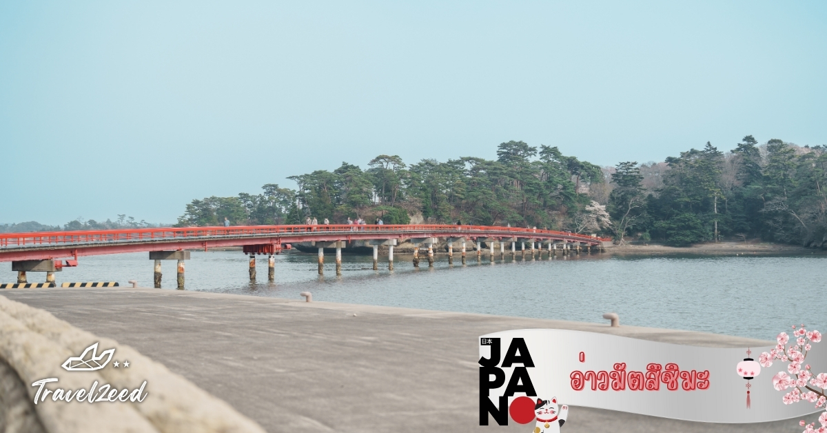 อ่าวมัตสึชิมะ เกาะสนกลางทะเล หนึ่งในวิวที่สวยที่สุดของญี่ปุ่น ทัวร์เซนไดต้องไม่พลาด