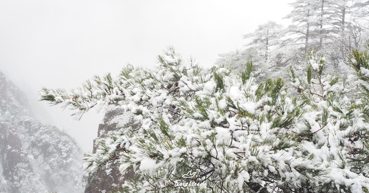 เที่ยวเขาหวงซานหน้าหนาว หิมะตก