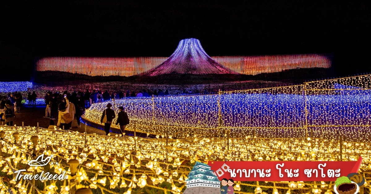 งานไฟนาบานะ โนะ ซาโตะ ไฮไลต์ฤดูหนาวยอดนิยมของแพ็กเกจทัวร์นาโกย่า