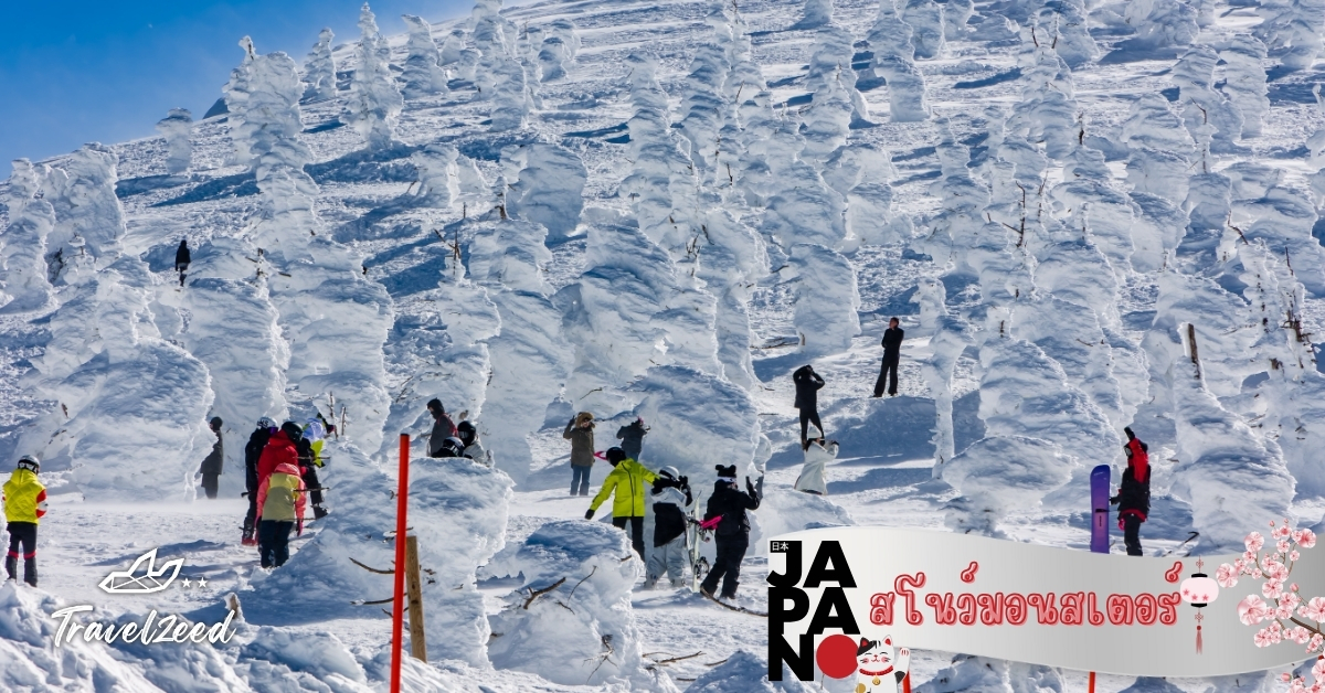 สโนว์มอนสเตอร์ ภูเขาซาโอะ ปรากฏการณ์หิมะเกาะต้นไม้ เป็นอันซีนหลักของญี่ปุ่นในฤดูหนาว