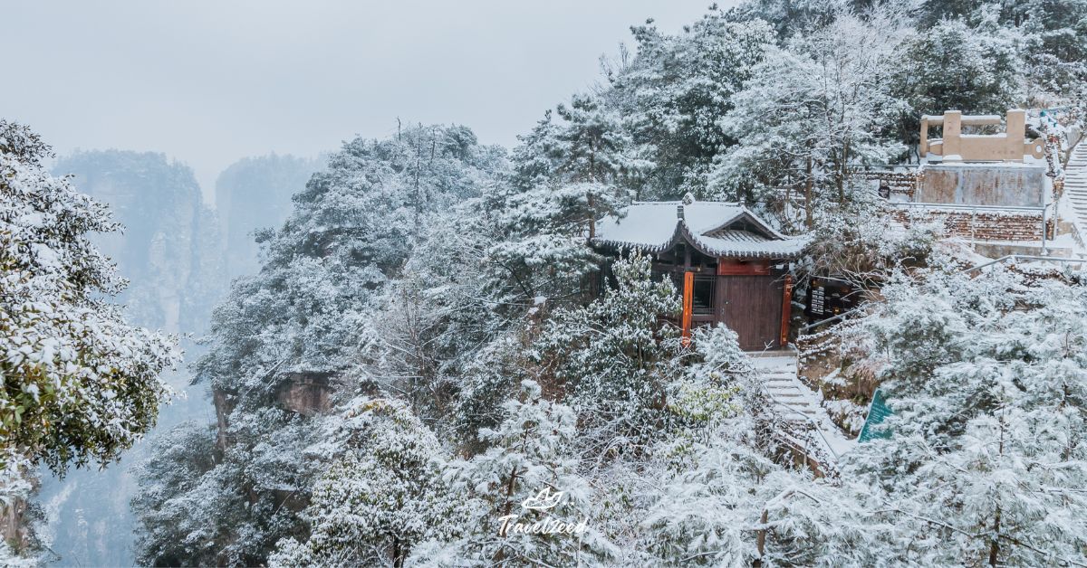 จางเจียเจี้ยหน้าหนาว หิมะและหมอกบาง ๆ เหมือนฉากในหนังเรื่อง Avatar