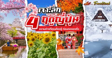 เจาะลึก 4 ฤดูญี่ปุ่น ความต่างที่คุณต้องรู้ ก่อนวางแผนเที่ยว