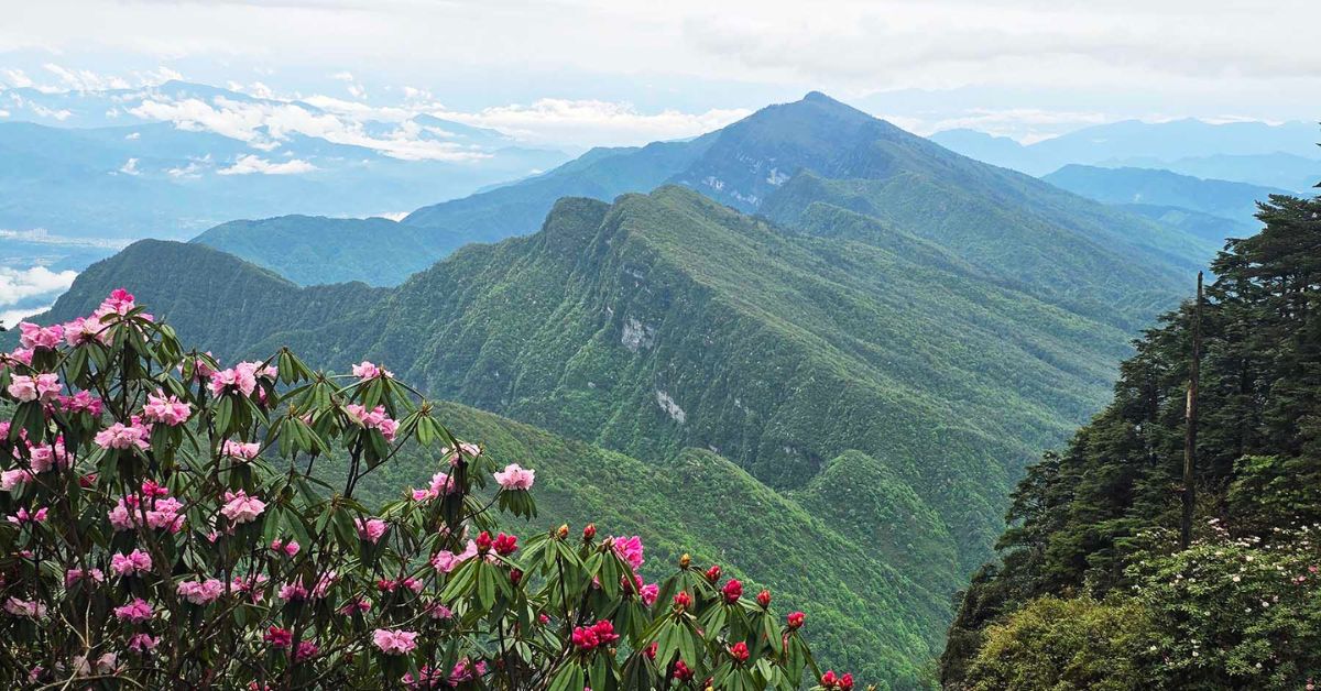 ภูเขาวาวู่ ฤดูใบไม้ผลิ