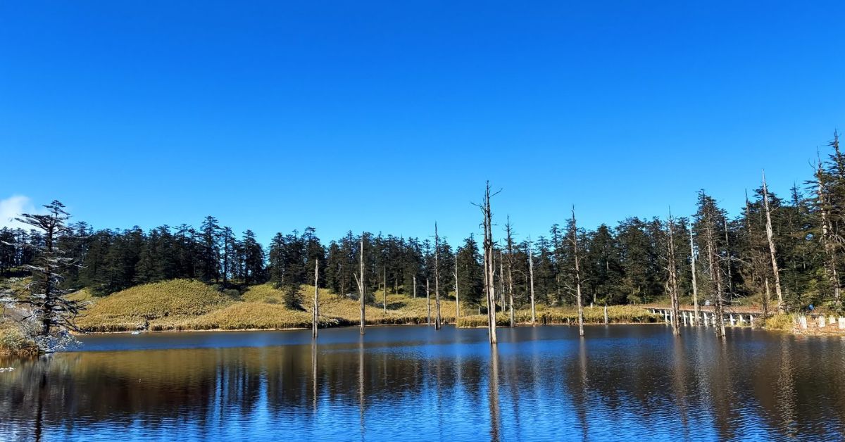 บึงหยวนหยาง ช่วงใบไม้ร่วง