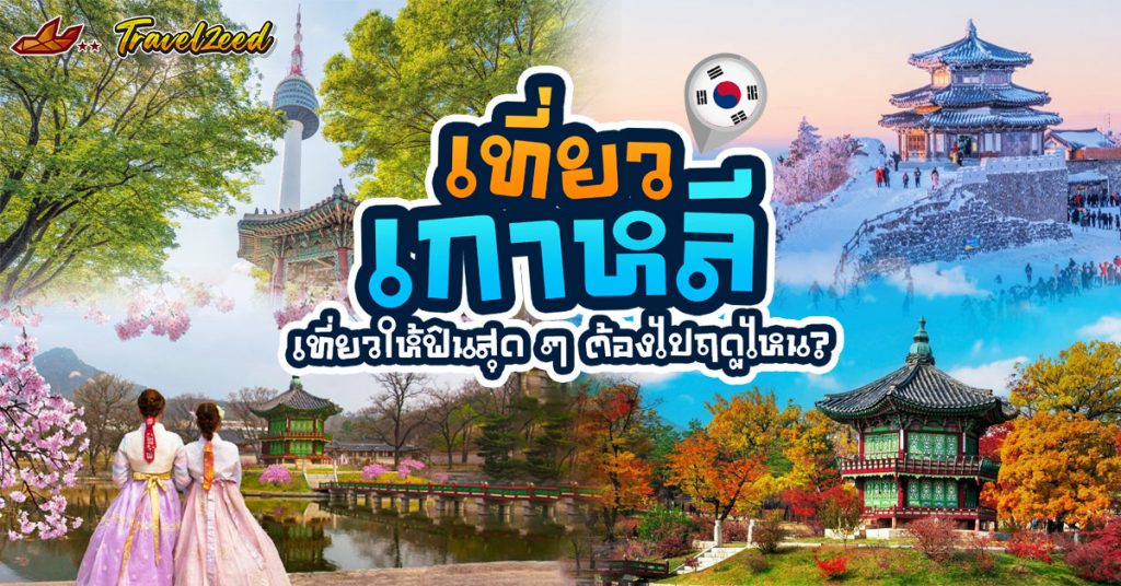 เที่ยวเกาหลี ช่วงไหนดี