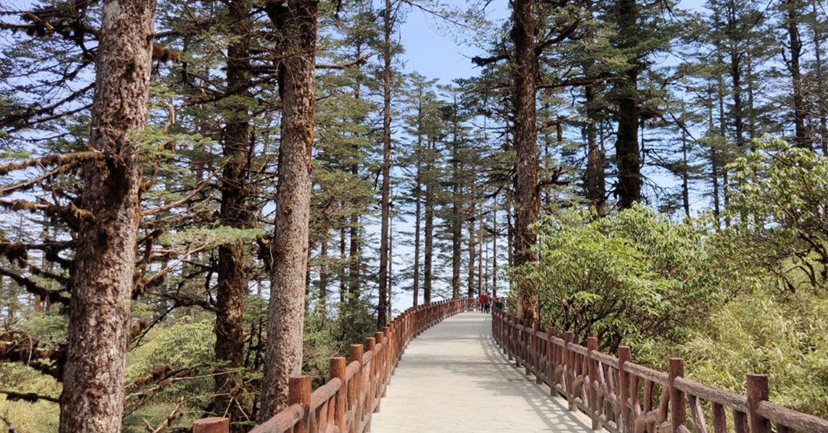 สะพานจินฮวา ไฮไลท์ภูเขาวาวู่ ช่วงฤดูร้อน