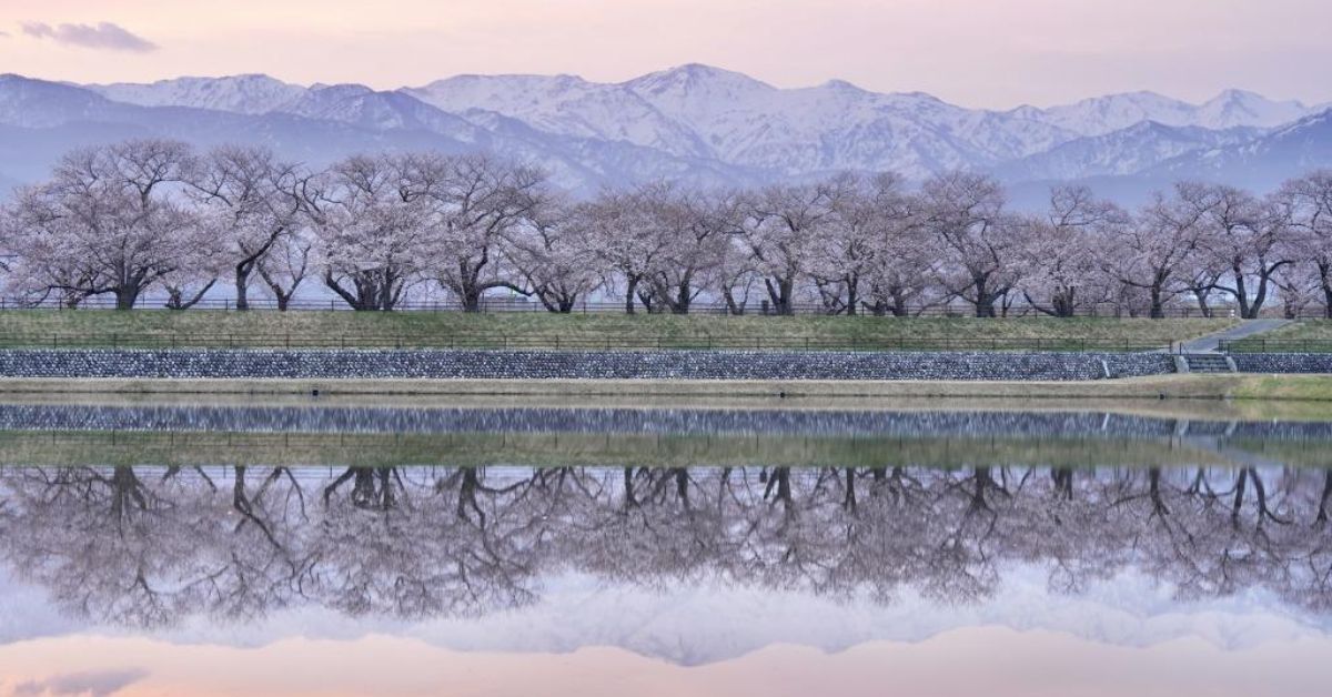 ภูเขาหิมะทาเตยามะ Asahi Funagawa Spring Quartet