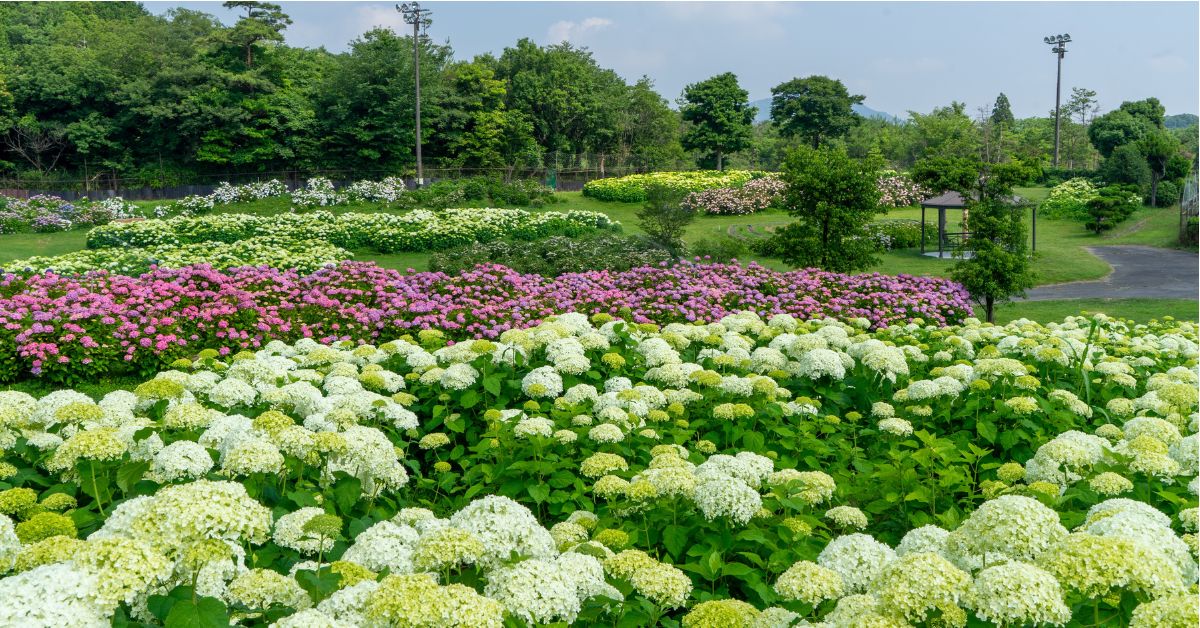 อุทยานประวัติศาสตร์โอสึกะ โชไคจิ (Otsuka Shokai-ji Historical Park)