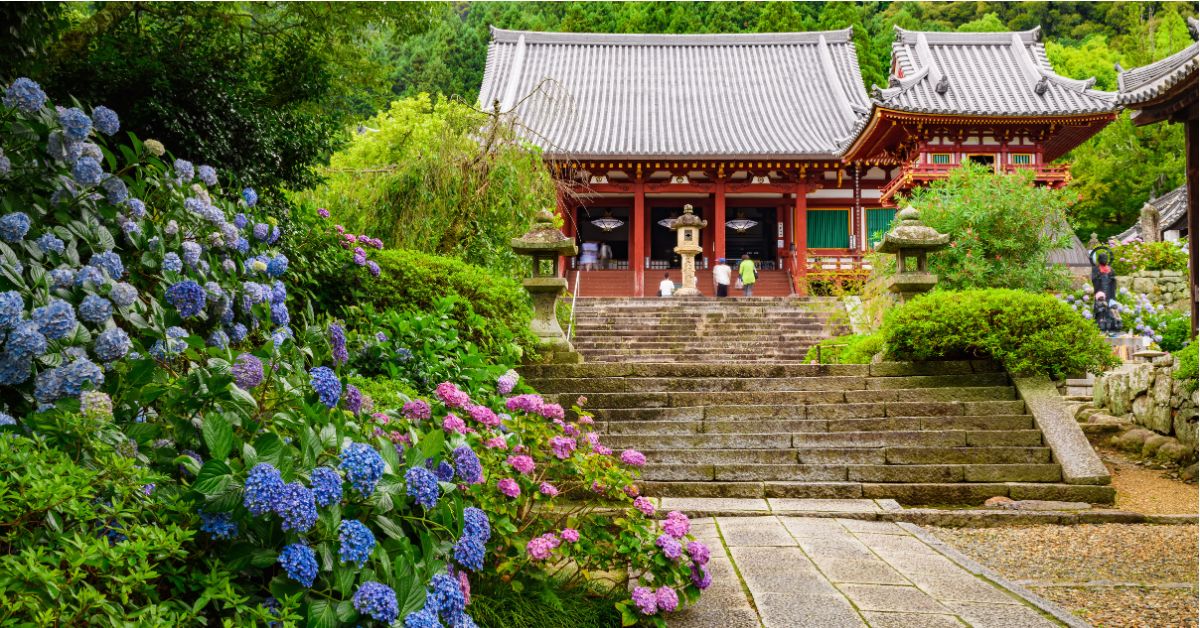 วัดยาตะเดระ (Yatadera Temple) หนึ่งในวัดชมไฮเดรนเยียชื่อดังของเมืองนารา