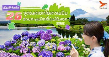 ปักหมุด 26 จุดชมดอกไฮเดรนเยีย ญี่ปุ่น สวยละมุนฟีลญี่ปุ่นมินิมอล ครบทุกภูมิภาค
