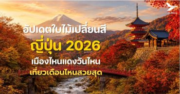 อัปเดต ใบไม้เปลี่ยนสี ญี่ปุ่น 2026 เมืองไหนแดงวันไหน เที่ยวเดือนไหนสวยสุด
