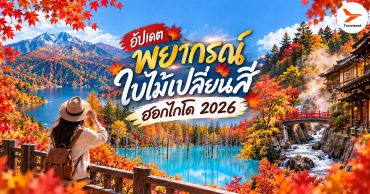 พยากรณ์ใบไม้เปลี่ยนสี ฮอกไกโด 2026
