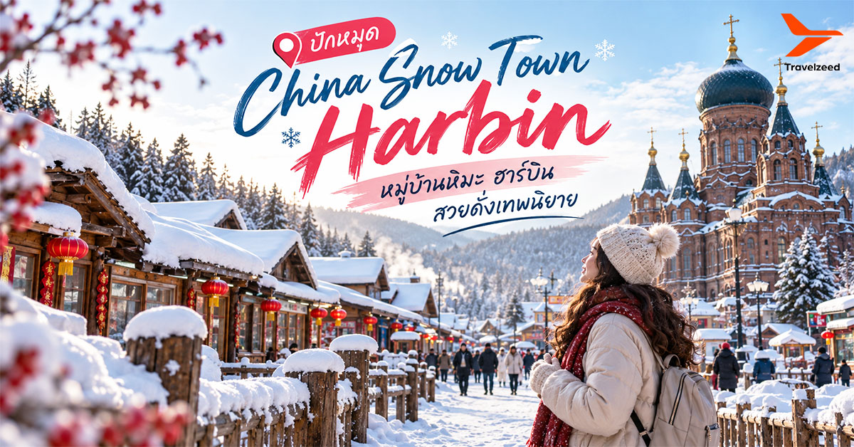 ปักหมุด China Snow Town Harbin หมู่บ้านหิมะ ฮาร์บิน สวยดั่งเทพนิยาย