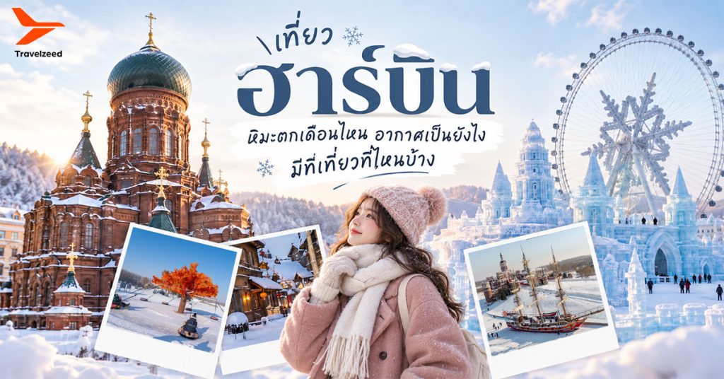 เที่ยวฮาร์บิน หิมะตกเดือนไหน